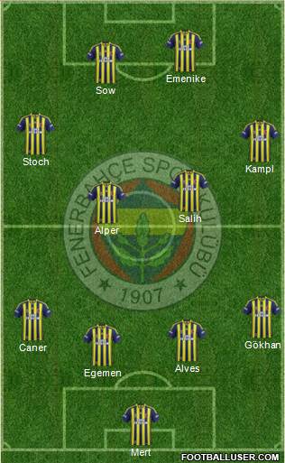 Fenerbahçe SK Formation 2014