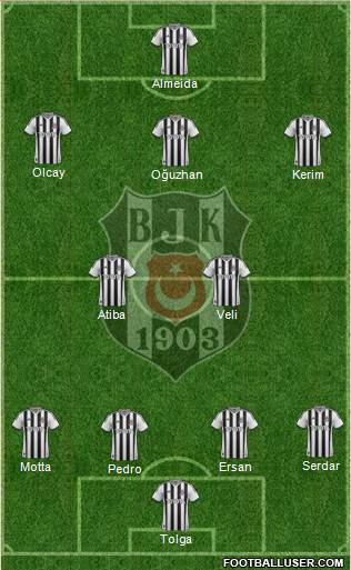 Besiktas JK Formation 2014