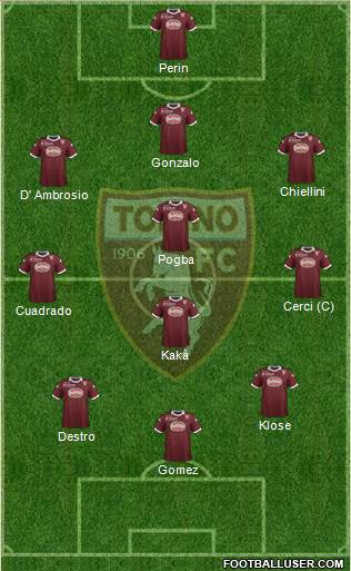 Torino Formation 2014