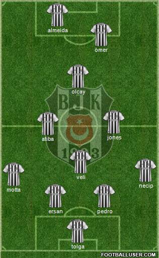 Besiktas JK Formation 2014