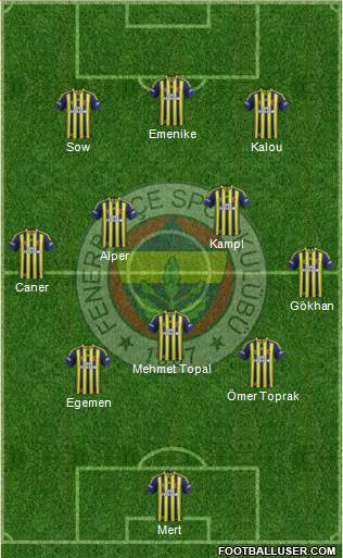 Fenerbahçe SK Formation 2014