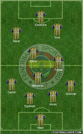 Fenerbahçe SK Formation 2014