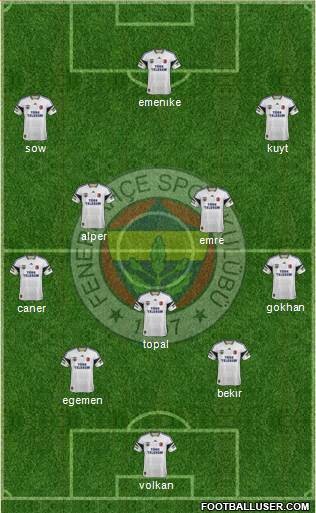 Fenerbahçe SK Formation 2014