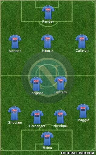 Napoli Formation 2014