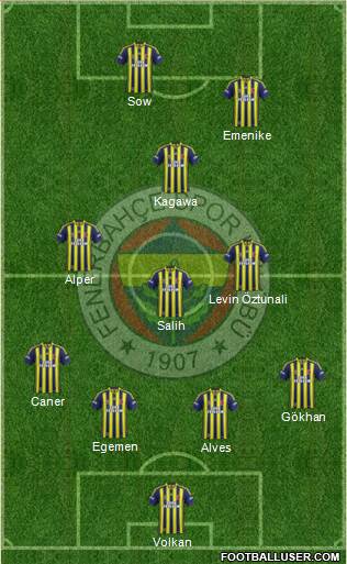Fenerbahçe SK Formation 2014