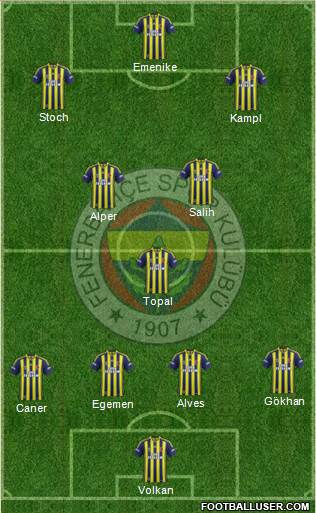 Fenerbahçe SK Formation 2014