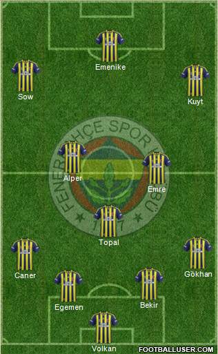 Fenerbahçe SK Formation 2014