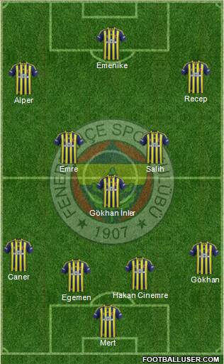 Fenerbahçe SK Formation 2014