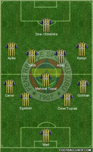 Fenerbahçe SK Formation 2014