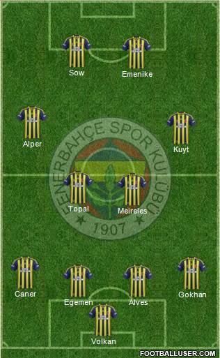 Fenerbahçe SK Formation 2014