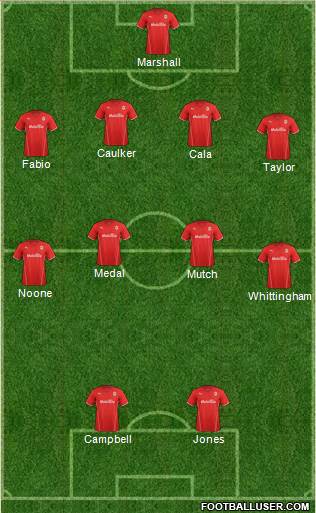 Cardiff City Formation 2014