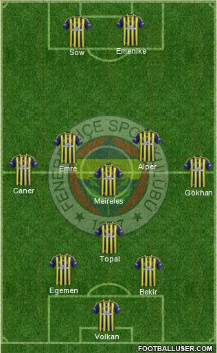 Fenerbahçe SK Formation 2014