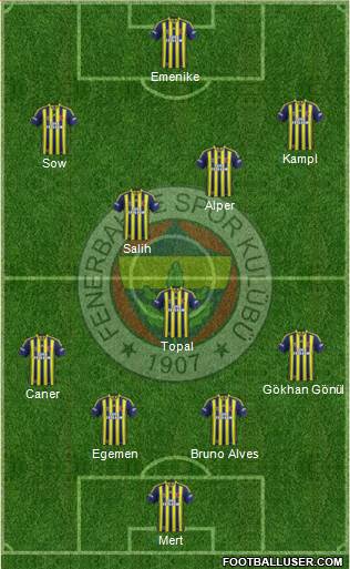 Fenerbahçe SK Formation 2014