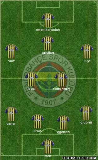 Fenerbahçe SK Formation 2014