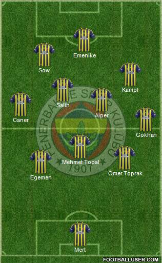 Fenerbahçe SK Formation 2014