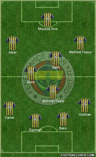 Fenerbahçe SK Formation 2014