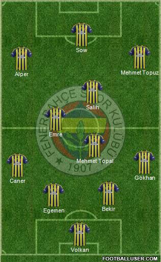 Fenerbahçe SK Formation 2014
