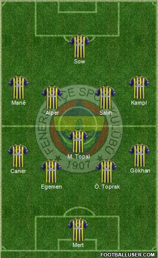 Fenerbahçe SK Formation 2014