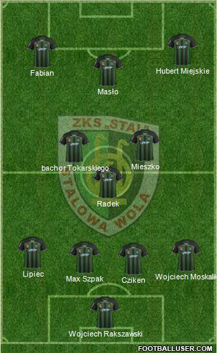 Stal Stalowa Wola Formation 2014