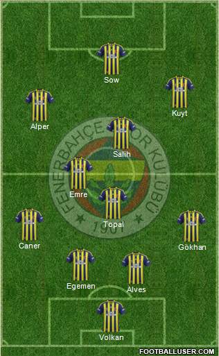 Fenerbahçe SK Formation 2014