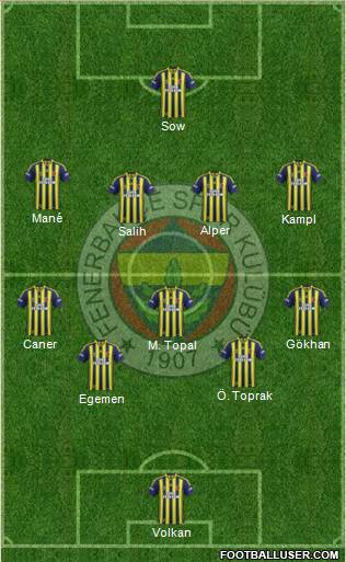 Fenerbahçe SK Formation 2014