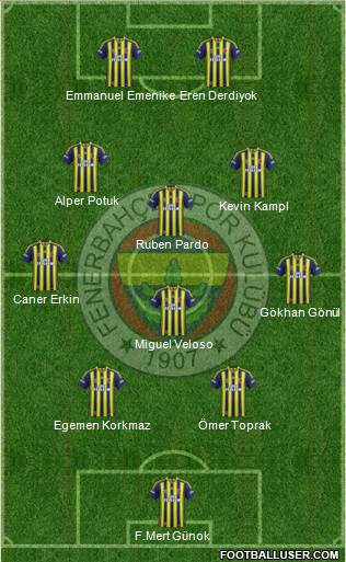 Fenerbahçe SK Formation 2014