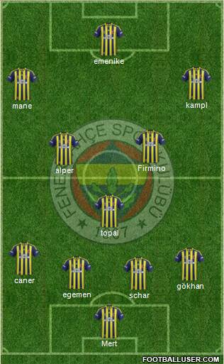 Fenerbahçe SK Formation 2014