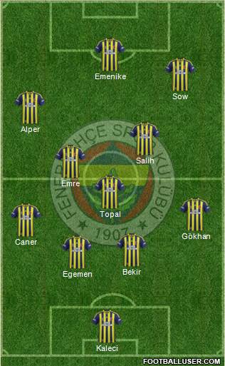 Fenerbahçe SK Formation 2014