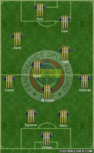 Fenerbahçe SK Formation 2014