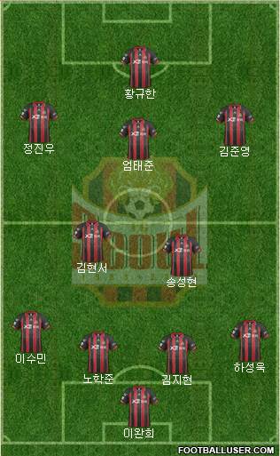 FC Seoul Formation 2014