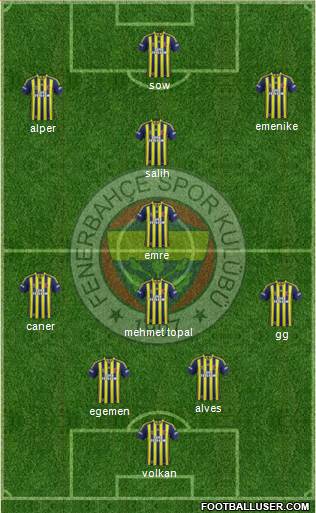 Fenerbahçe SK Formation 2014