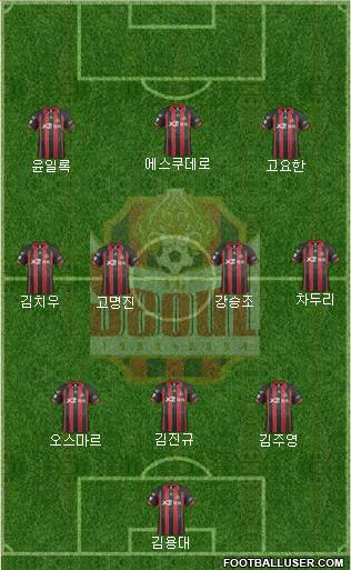 FC Seoul Formation 2014