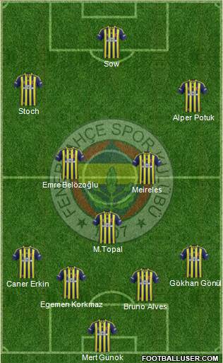 Fenerbahçe SK Formation 2014