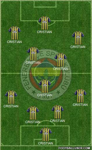 Fenerbahçe SK Formation 2014