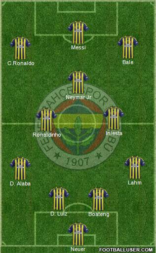 Fenerbahçe SK Formation 2014