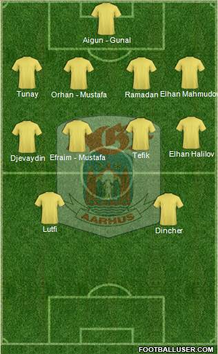 Aarhus Gymnastik Forening Formation 2014