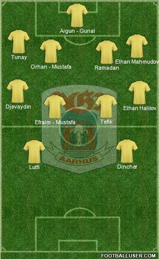 Aarhus Gymnastik Forening Formation 2014