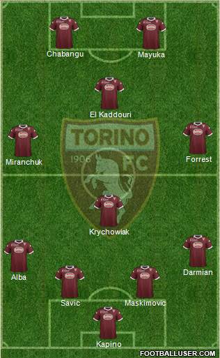 Torino Formation 2014