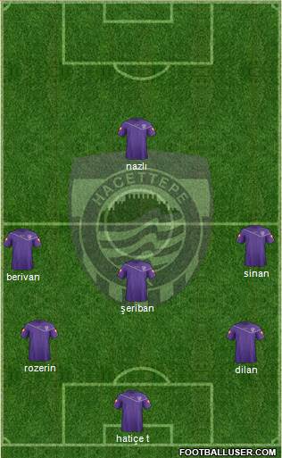 Hacettepe Formation 2014