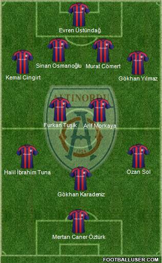 Altinordu Formation 2014