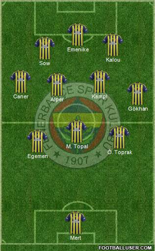 Fenerbahçe SK Formation 2014