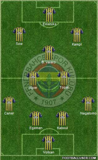 Fenerbahçe SK Formation 2014