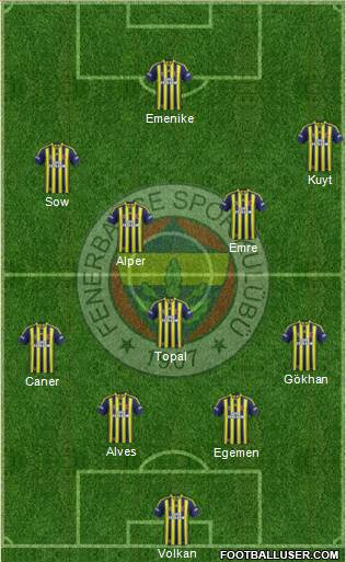 Fenerbahçe SK Formation 2014
