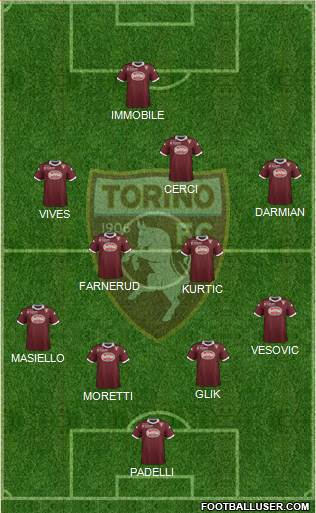 Torino Formation 2014