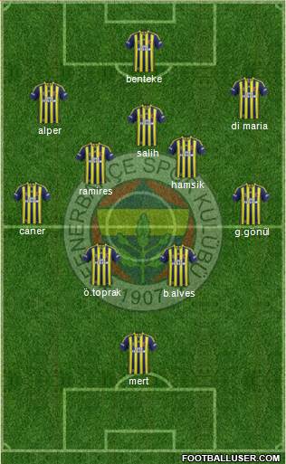 Fenerbahçe SK Formation 2014