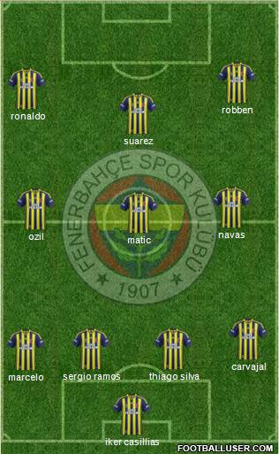Fenerbahçe SK Formation 2014