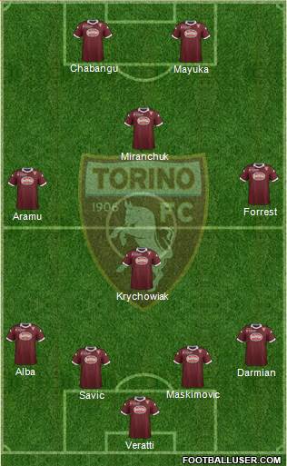 Torino Formation 2014