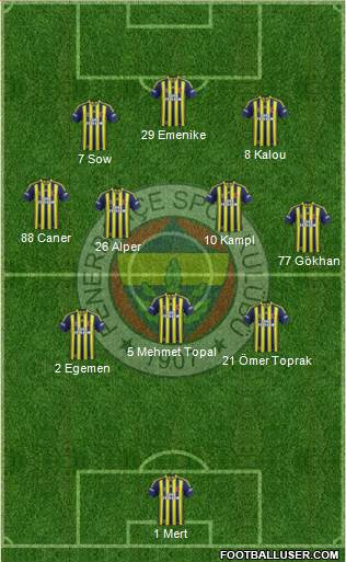 Fenerbahçe SK Formation 2014