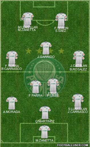 SE Palmeiras Formation 2014