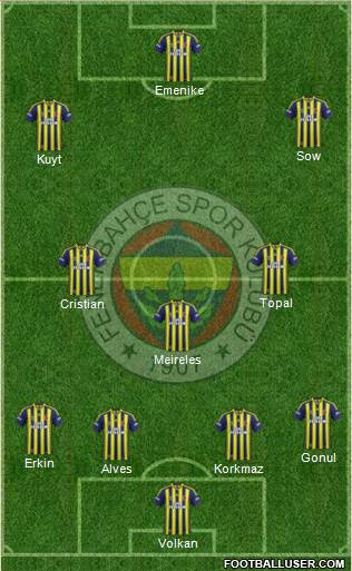 Fenerbahçe SK Formation 2014